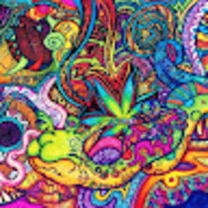 Meet your Posher, Demon